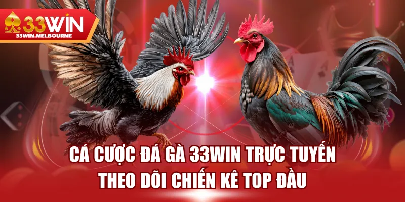 Cá Cược Đá Gà 33WIN Trực Tuyến | Theo Dõi Chiến Kê Top Đầu