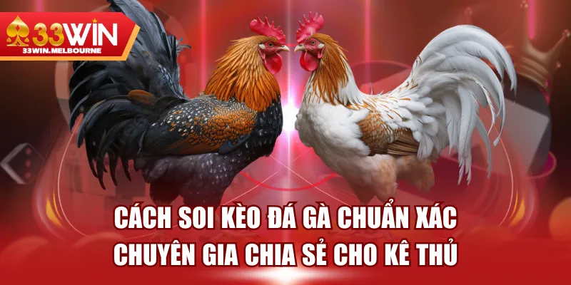 Cách Soi Kèo Đá Gà Chuẩn Xác - Chuyên Gia Chia Sẻ Cho Kê Thủ