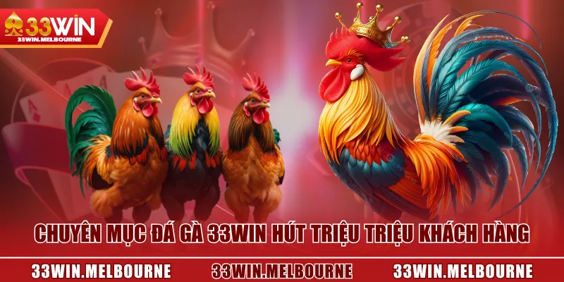 Chuyên mục Đá Gà 33WIN hút triệu triệu khách hàng