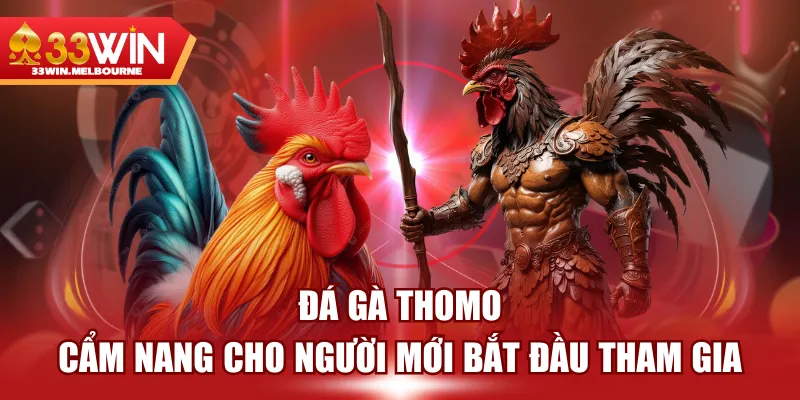 Đá Gà Thomo - Cẩm Nang Cho Người Mới Bắt Đầu Tham Gia