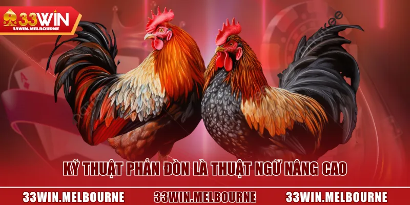 Kỹ thuật phản đòn là thuật ngữ nâng cao