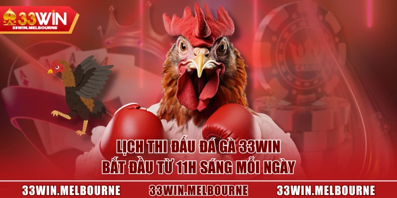 Lịch thi đấu đá gà 33WIN bắt đầu từ 11h sáng mỗi ngày