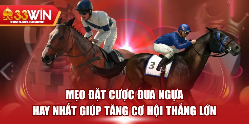 Mẹo Đặt Cược Đua Ngựa Hay Nhất Giúp Tăng Cơ Hội Thắng Lớn