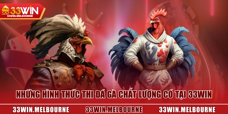 Những hình thức thi đá gà chất lượng có tại 33WIN