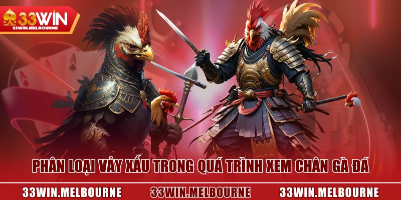 Phân loại vảy xấu trong quá trình xem chân gà đá