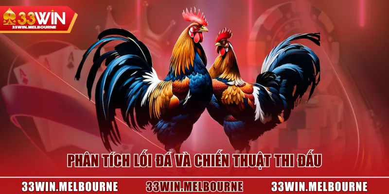 Phân tích lối đá và chiến thuật thi đấu