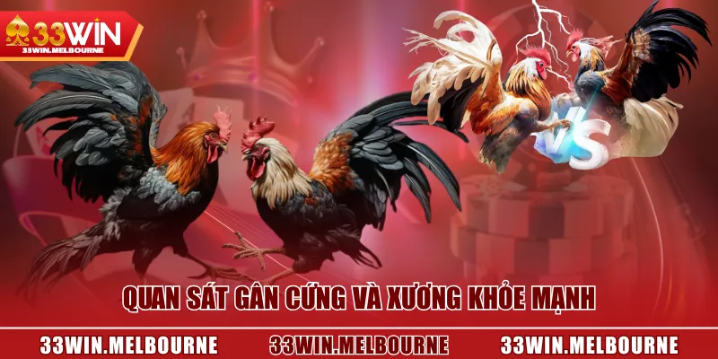 Quan sát gân cứng và xương khỏe mạnh