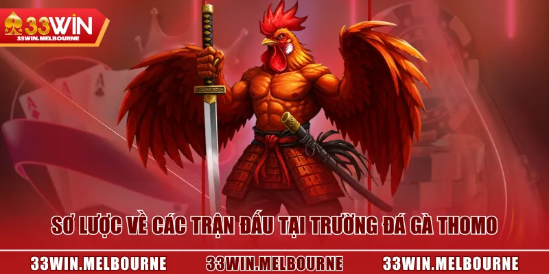 Sơ lược về các trận đấu tại trường đá gà Thomo
