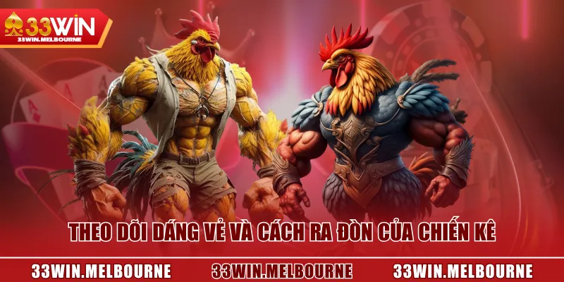 Theo dõi dáng vẻ và cách ra đòn của chiến kê