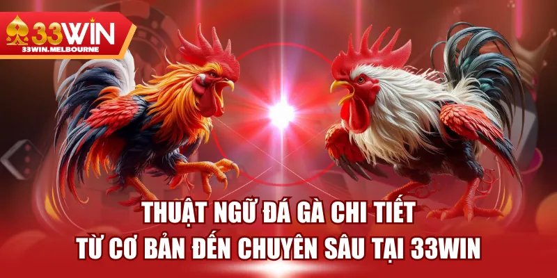 Thuật Ngữ Đá Gà Chi Tiết Từ Cơ Bản Đến Chuyên Sâu Tại 33WIN