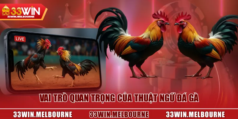 Vai trò quan trọng của thuật ngữ đá gà