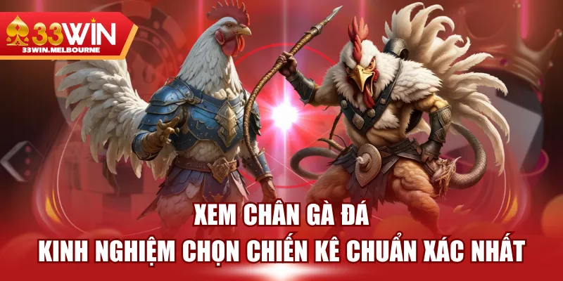 Xem Chân Gà Đá - Kinh Nghiệm Chọn Chiến Kê Chuẩn Xác Nhất