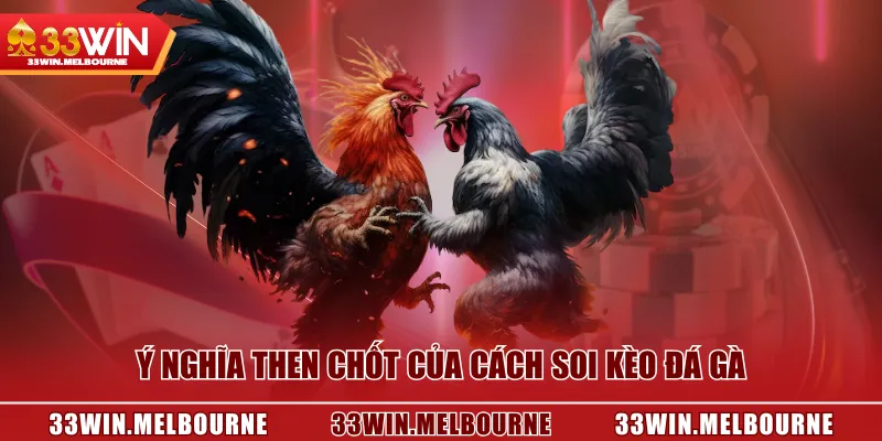 Ý nghĩa then chốt của cách soi kèo đá gà